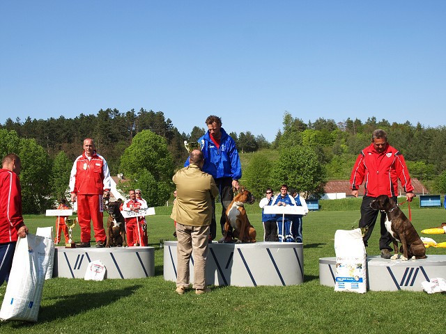 www.atibox.net * www.euroboxer.eu * www.boxergenealogia.eu